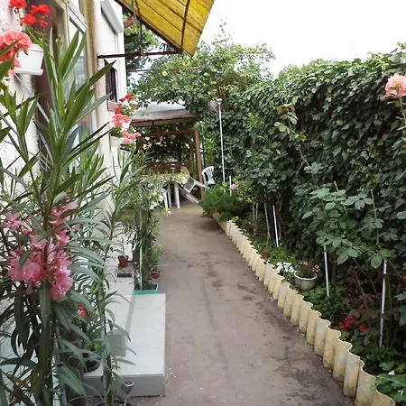 Prázdninový dům Havas