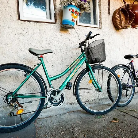 Prázdninový dům Havas