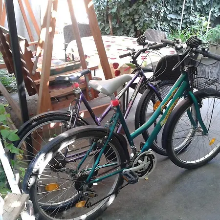 Havas Prázdninový dům *