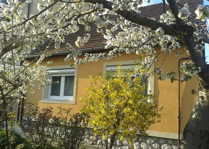 Havas Будинок відпочинку *